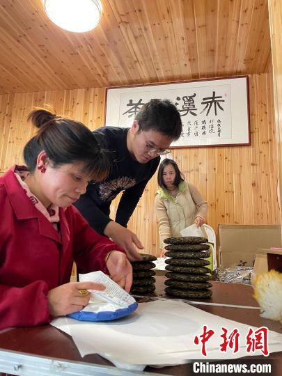 資料圖：杜贏(左二)在整理白茶餅?！×执阂?攝